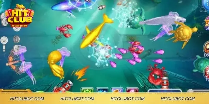 Thời điểm tốt nhất để săn cá vàng là buổi sớm, trưa