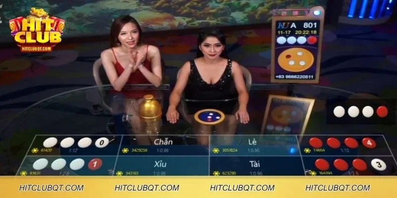 Vài nét giới thiệu về cược xóc đĩa