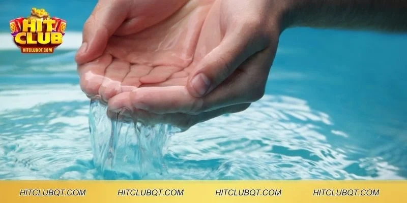 Giấc mơ thấy nước biểu hiện cho sự thanh tịnh và sự đổi mới