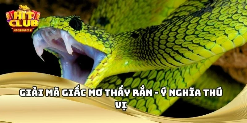 Giải Mã Giấc Mơ Thấy Rắn - Ý Nghĩa Thú Vị