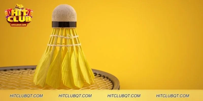 Đôi nét giới thiệu về kèo cầu lông