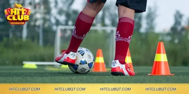 Tips bóng đá trả phí là những thông tin được cung cấp từ các chuyên gia